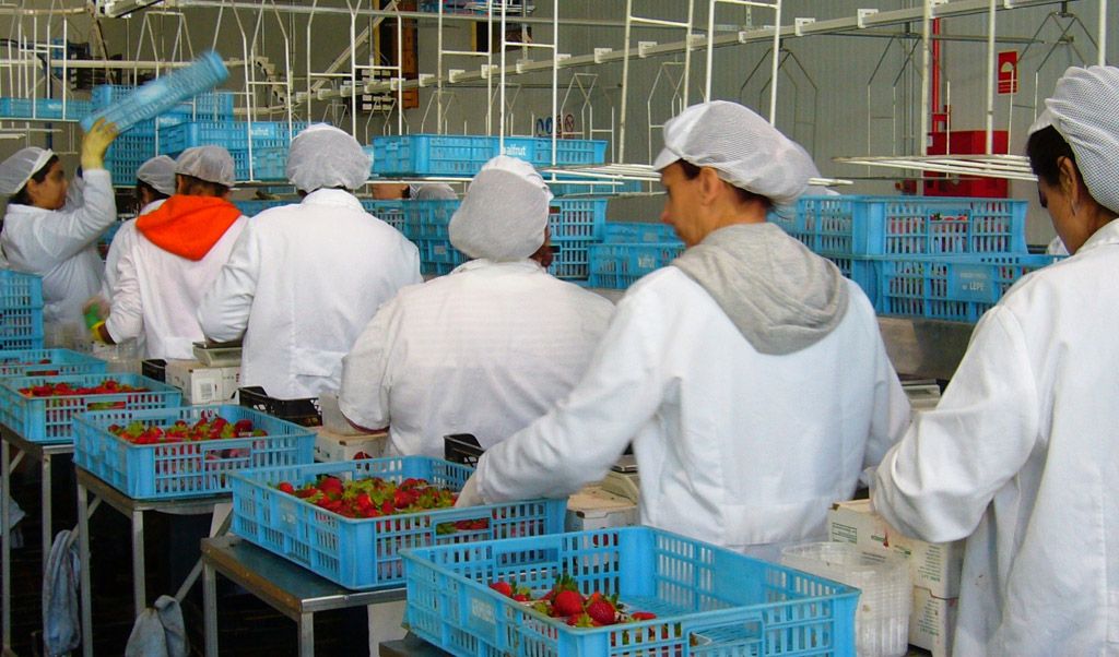 8 de marzo: «las mujeres de nuestro pueblo seguimos sufriendo una triple opresión como mujeres, como obreras y como&nbsp;andaluzas»