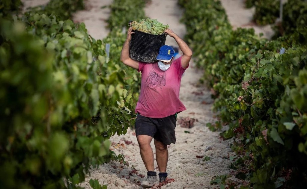A pesar del maquillaje, las cifras oficiales reconocen que hay 621.700 personas desempleadas en&nbsp;Andalucía