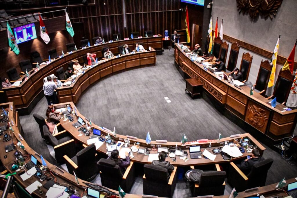 El Senado aprueba una medida para transformar formalmente Bolivia en&nbsp;dictadura
