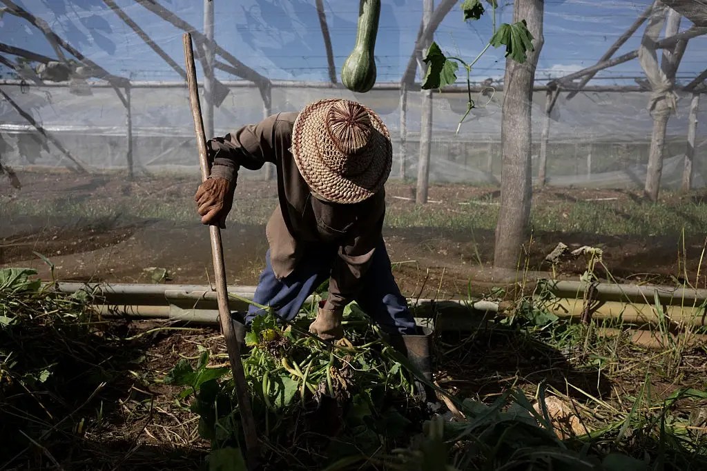 Estados Unidos apunta ahora al suministro de alimentos de&nbsp;Cuba