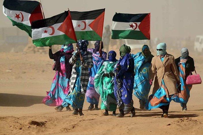 Rechazan la «Autopista Trump» a Dakhla así como inversión estadounidense para una industria, ambos en el Sáhara ocupado por&nbsp;Marruecos