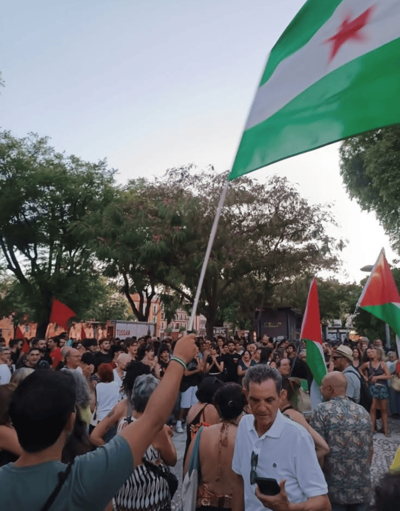 Ayer también la Andalucía antirracista salió a la calle&nbsp;(vídeos)